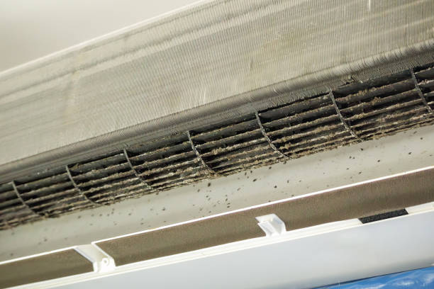 Best HVAC Air Duct Cleaning  in Belpre, OH